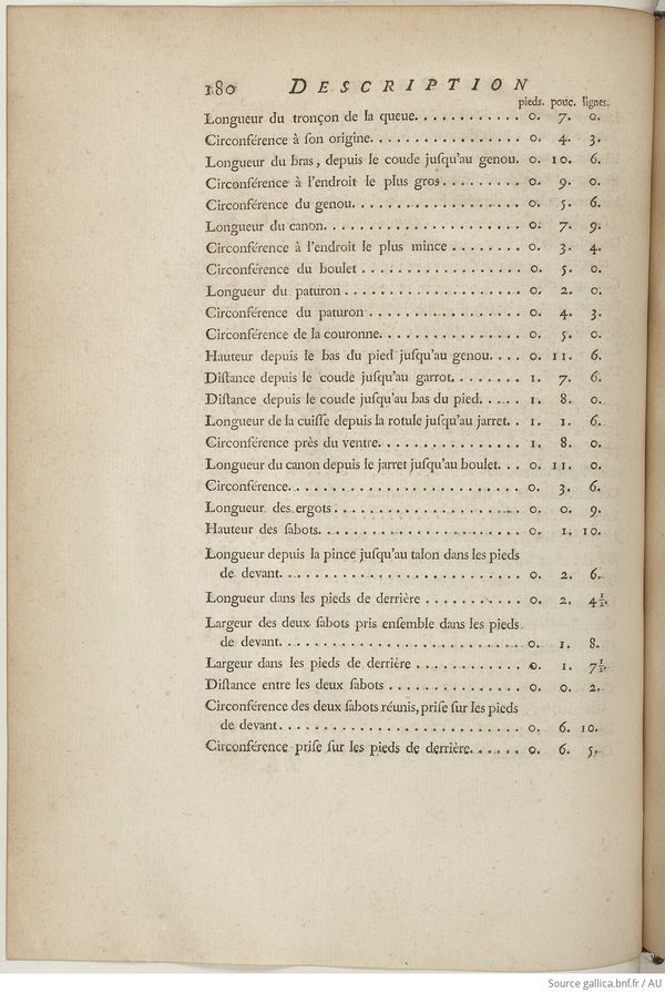Buffon Hist Nat E.O. Tome 6 f246.jpg