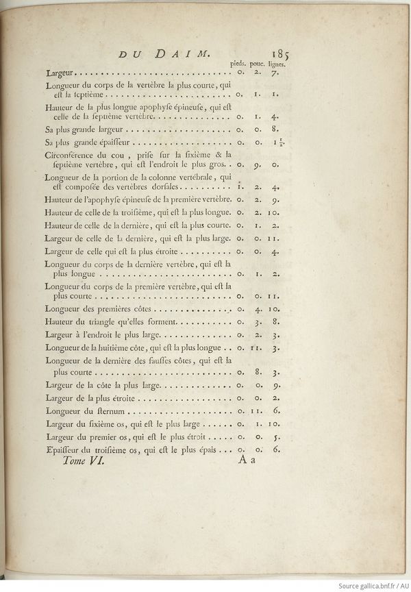 Buffon Hist Nat E.O. Tome 6 f251.jpg