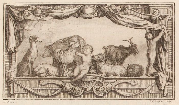 Buffon Hist Nat Tome 5 image page 13.jpg