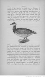 Buffon illustré de la jeunesse - 1893 Gallica page f222.jpg