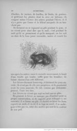 Buffon illustré de la jeunesse - 1893 Gallica page f98.jpg