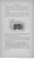 Buffon illustré de la jeunesse - 1893 Gallica page f98.jpg