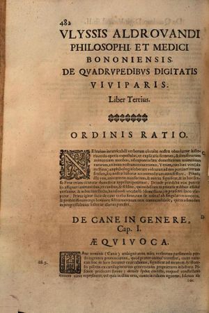 De quadrupedibus digitatis (1649) Aldrovandi IA page 482.jpg
