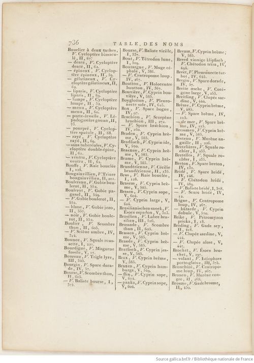Buffon Hist Nat E.O. Tome P5 f858.jpg