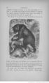 Buffon illustré de la jeunesse - 1893 Gallica page f66.jpg