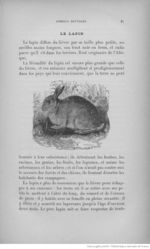 Buffon illustré de la jeunesse - 1893 Gallica page f99.jpg