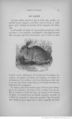 Buffon illustré de la jeunesse - 1893 Gallica page f99.jpg