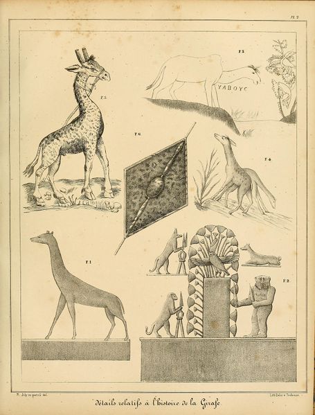 Fichier:ALS Mémoires 1840 page 645.jpg