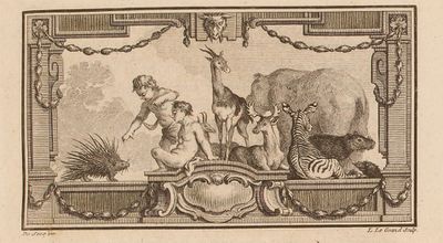 Buffon Hist Nat Tome XII image page 33.jpg