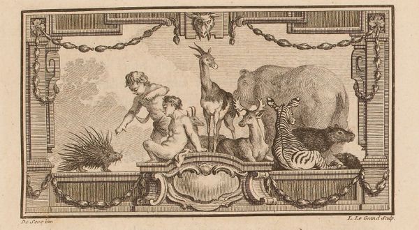 Buffon Hist Nat Tome XII image page 33.jpg