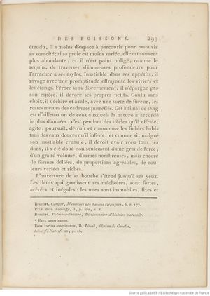 Buffon Hist Nat E.O. Tome P5 f389.jpg