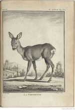 Buffon Hist Nat E.O. Tome 6 f315.jpg