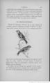Buffon illustré de la jeunesse - 1893 Gallica page f173.jpg