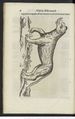 De quadrupedibus digitatis (1649) Aldrovandi Gallica page 20.jpg