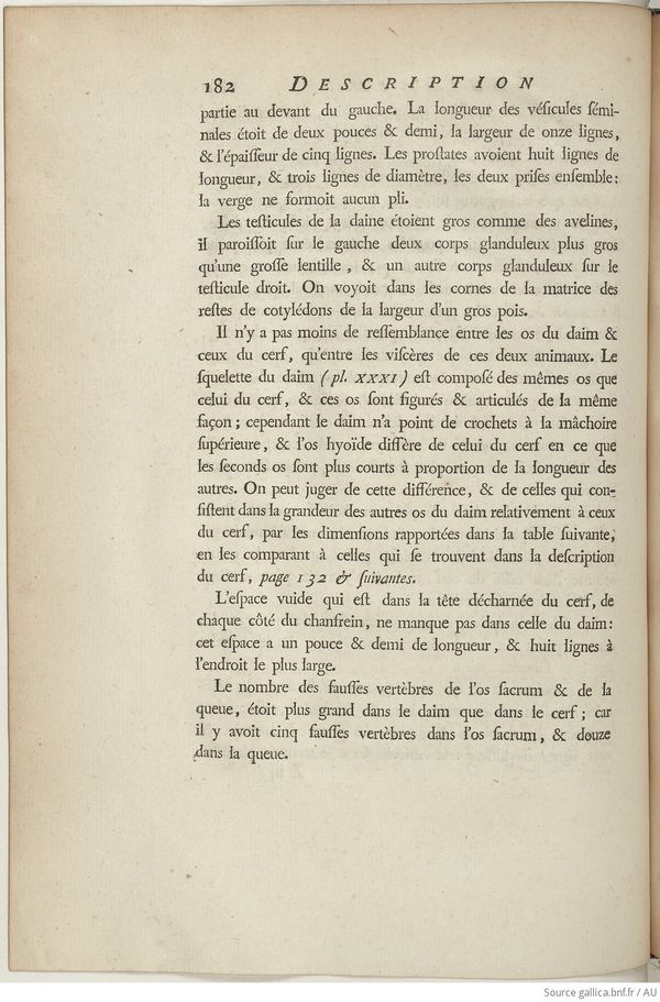 Buffon Hist Nat E.O. Tome 6 f248.jpg