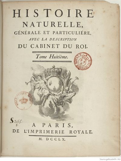 Buffon Hist Nat E.O. Tome 8 f11.jpg