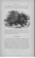 Buffon illustré de la jeunesse - 1893 Gallica page f125.jpg