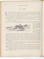 Le Buffon choisi de Benjamin Rabier, page f92.jpg
