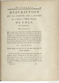 Buffon Hist Nat E.O. Tome 6 f77.jpg