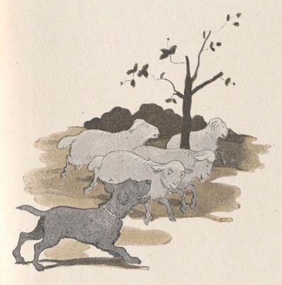 Buffon Rabier Brebis image 3.jpg