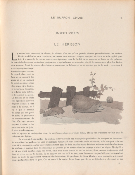 Fichier:Rabier Hérisson 2.png
