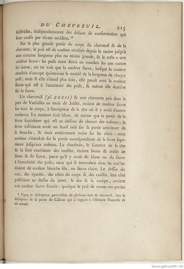 Buffon Hist Nat E.O. Tome 6 f291.jpg