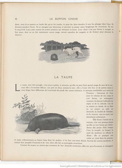 Le Buffon choisi de Benjamin Rabier, page f50.jpg