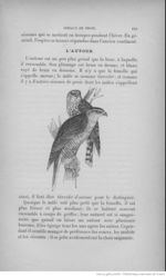 Buffon illustré de la jeunesse - 1893 Gallica page f159.jpg