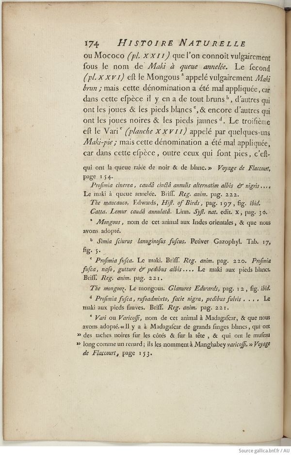Buffon Hist Nat E.O. Tome 13 f252.jpg