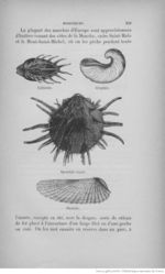 Buffon illustré de la jeunesse - 1893 Gallica page f277.jpg