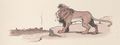 Buffon Rabier Lion image 2.jpg