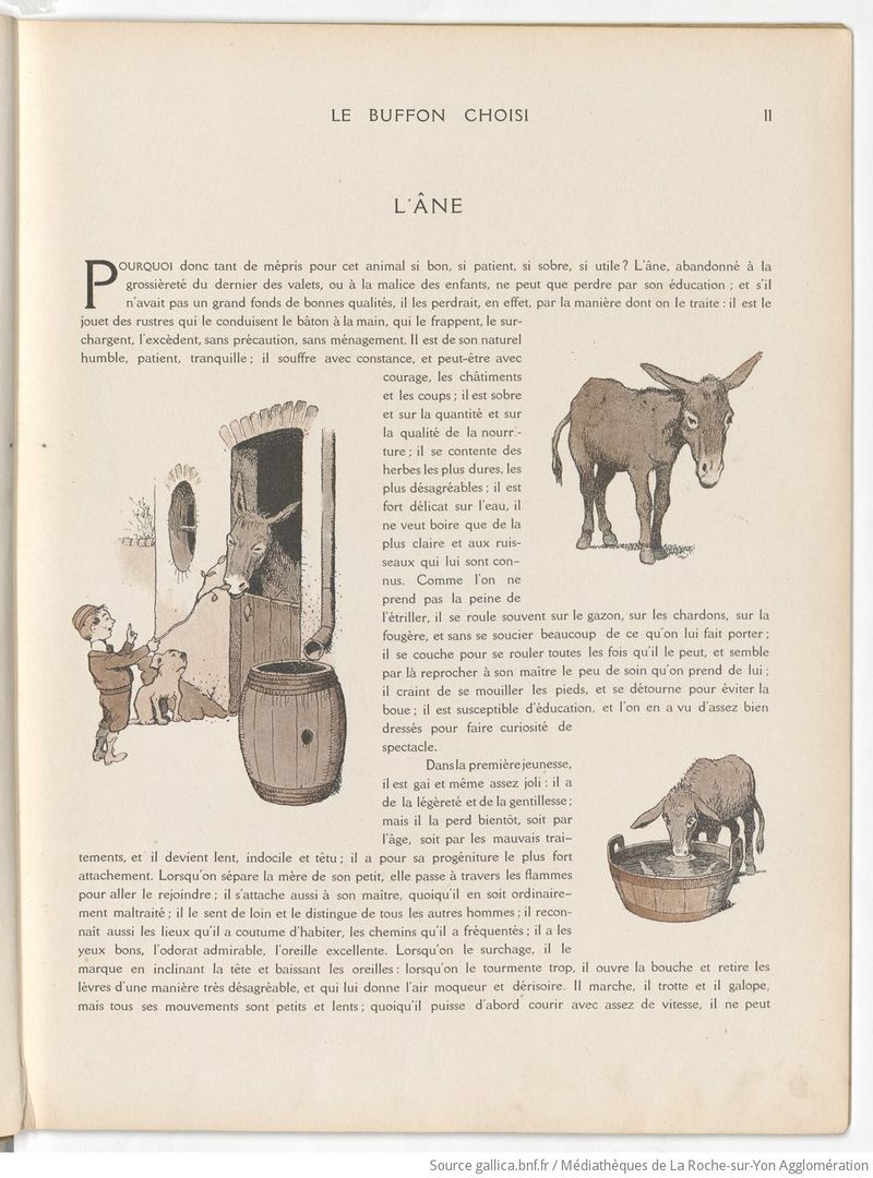 Le Buffon choisi de Benjamin Rabier, page f19.jpg