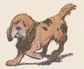 Buffon Rabier Chien image 10.jpg