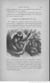 Buffon illustré de la jeunesse - 1893 Gallica page f127.jpg