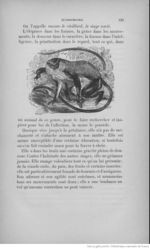 Buffon illustré de la jeunesse - 1893 Gallica page f141.jpg