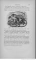 Buffon illustré de la jeunesse - 1893 Gallica page f141.jpg
