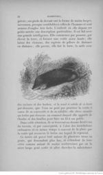 Buffon illustré de la jeunesse - 1893 Gallica page f60.jpg