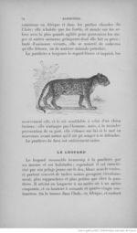 Buffon illustré de la jeunesse - 1893 Gallica page f82.jpg