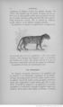Buffon illustré de la jeunesse - 1893 Gallica page f82.jpg