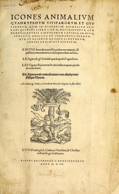 Icones animalium quadrupedum (1564) Gesner, page 11.jpg