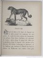 Alphabet illustré des animaux (1862) Doudet f35.jpg