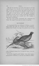 Buffon illustré de la jeunesse - 1893 Gallica page f204.jpg