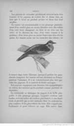 Buffon illustré de la jeunesse - 1893 Gallica page f198.jpg