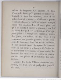 Alphabet illustré des animaux (1862) Doudet f32.jpg