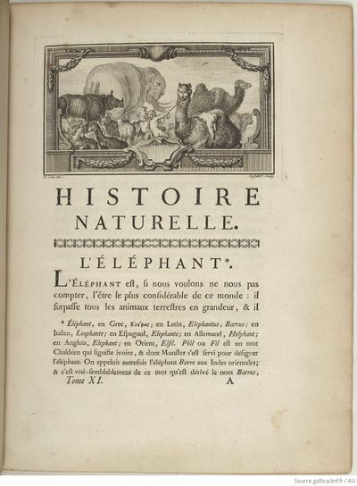 Buffon Hist Nat E.O. Tome 11 f13.jpg