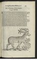 De quadrupedibus bisulcis (1642) Aldrovandi, pages 755.jpg