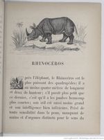 Alphabet illustré des animaux (1862) Doudet f51.jpg