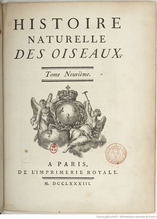 Buffon Hist Nat E.O. Tome 24 f11.jpg