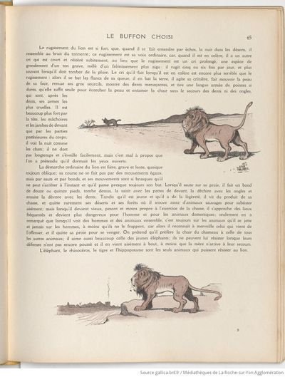 Le Buffon choisi de Benjamin Rabier, page f73.jpg