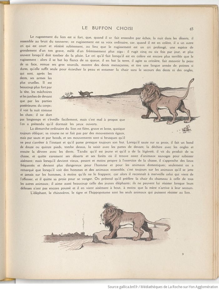 Le Buffon choisi de Benjamin Rabier, page f73.jpg